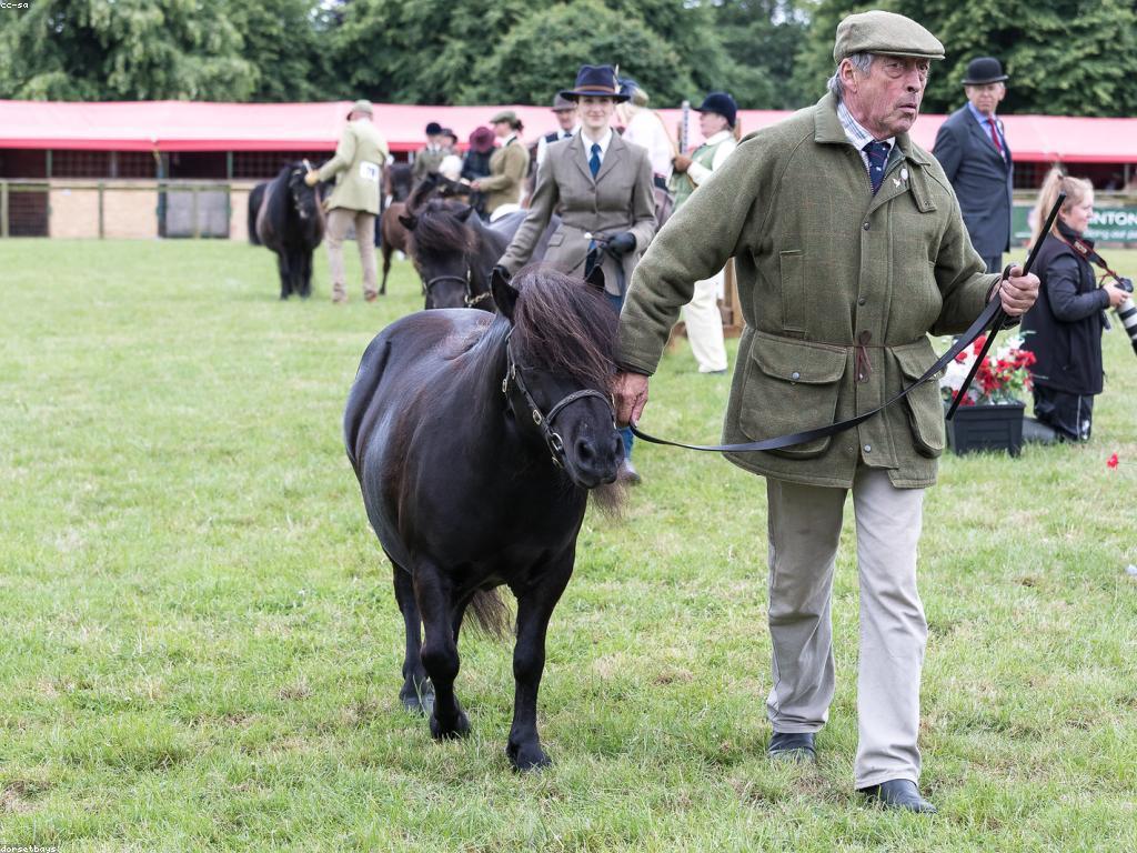 ការប្រកួតរង្វាន់៖ ការប្រកួតដែលមានអត្ថន័យ