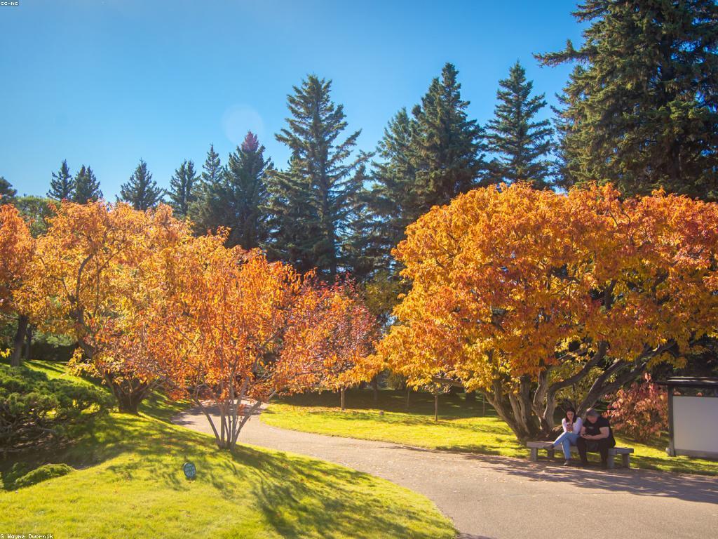 យុទ្ធសាស្ត្រលេង: ការបង្កើតនិងការផ្សព្វផ្សាយ