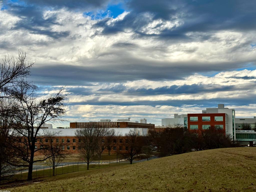 រឿងរ៉ាវជោគជ័យនៃការអប់រំច្នៃប្រឌិត