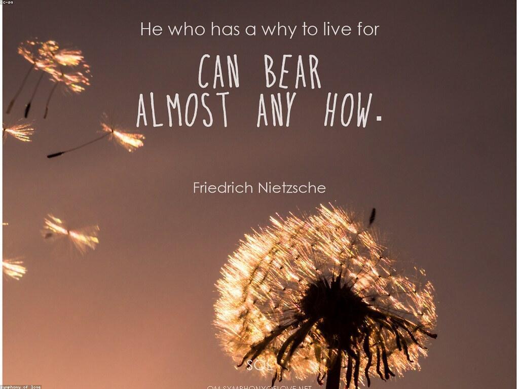 រឿងរ៉ាវជោគជ័យ: ការអភិវឌ្ឍន៍នៃភាពជោគជ័យ